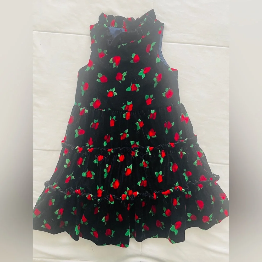 JANIE and JACK Gorgeous Velvet Rose Dress Special Occasion Party Festive Photos - Picture 3 of 4